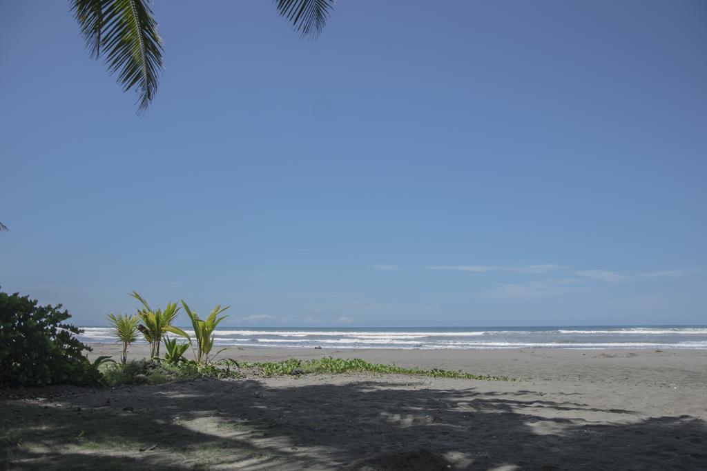 Pelican Beachfront Hotel Esterillos Este Exterior foto